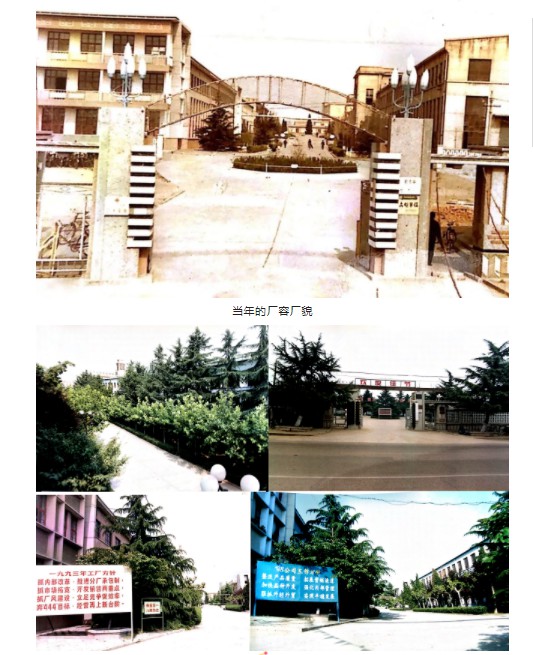 Hicorp Machinery (Qingdao)Co.,Ltd. Hicorp Machinery (Qingdao)Co.,Ltd.